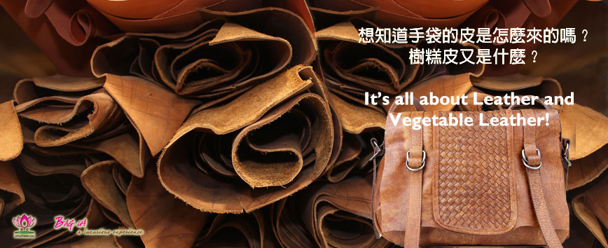 Vegetable Leather 樹糕皮及製作
